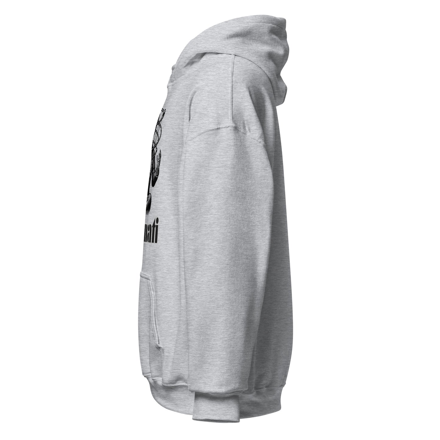 Sweat à capuche / Hoodie Illuminati 3