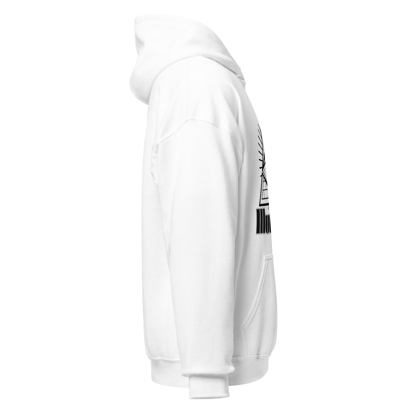 Sweat à capuche / Hoodie Illuminati 5